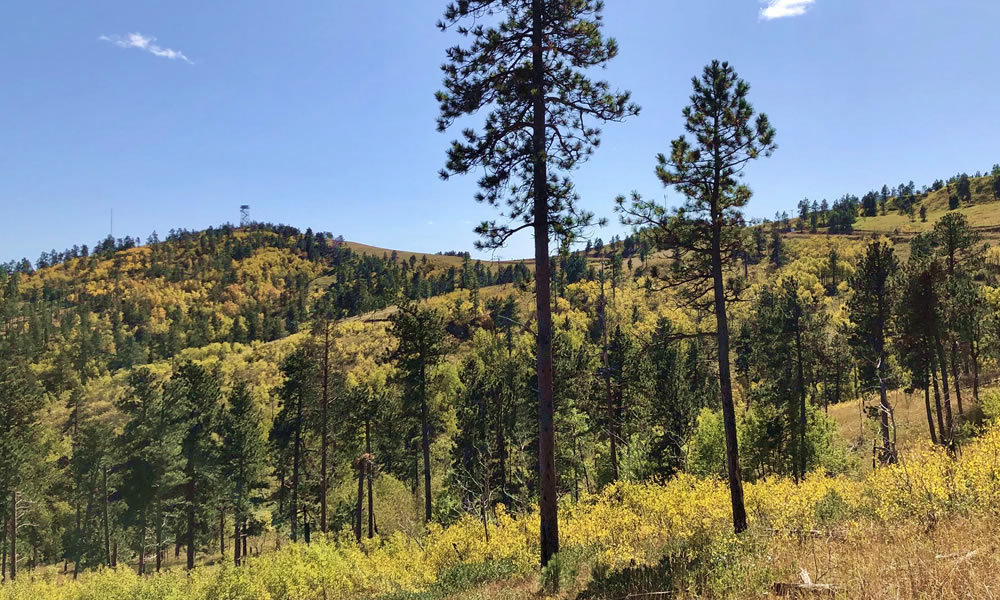 Crook County Parks & Outdoors