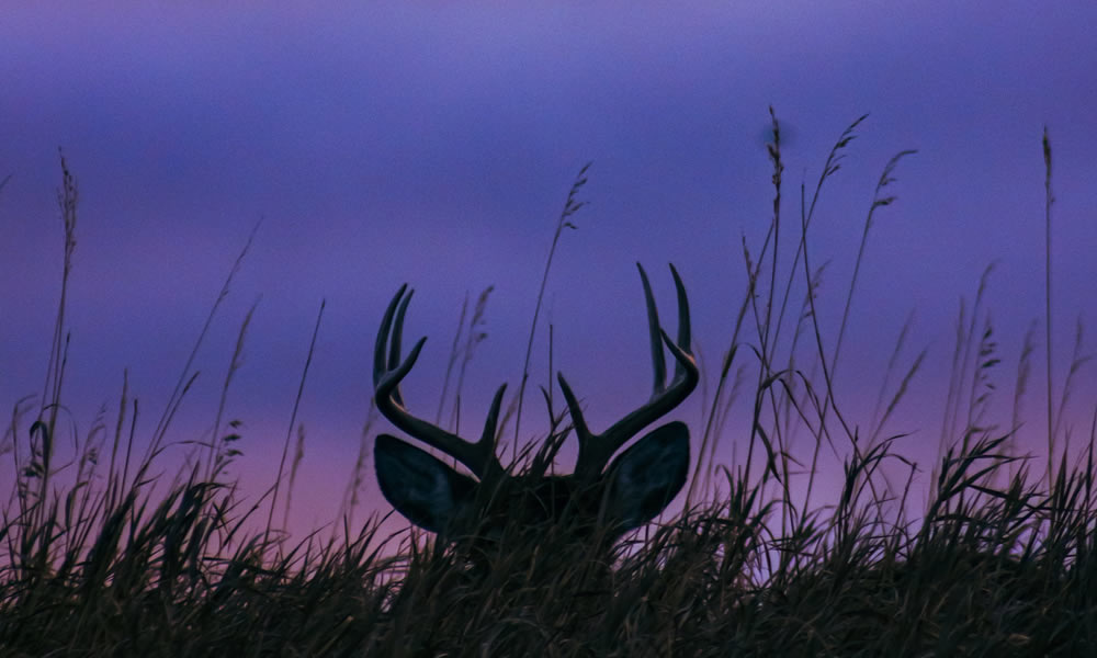 Crook County Hunting Experiences