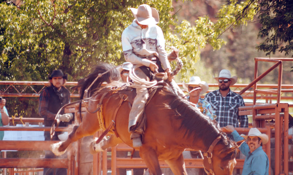 Crook County Rodeo