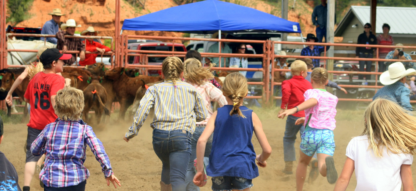 Hulett Rodeo