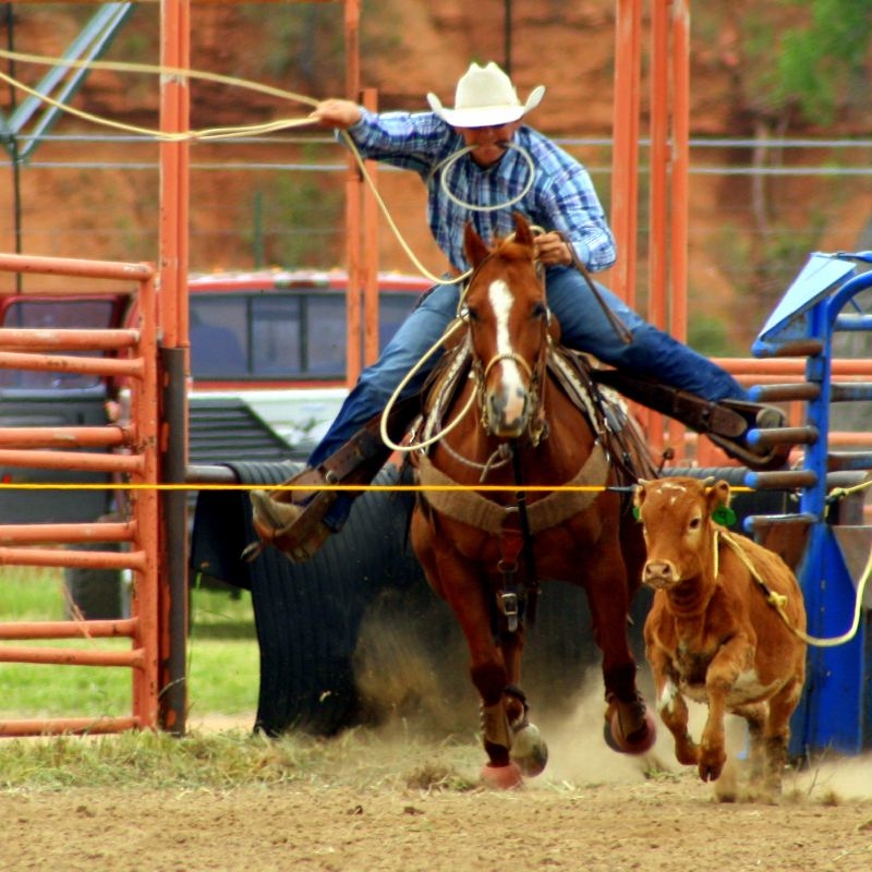 79th Annual Hulett Rodeo