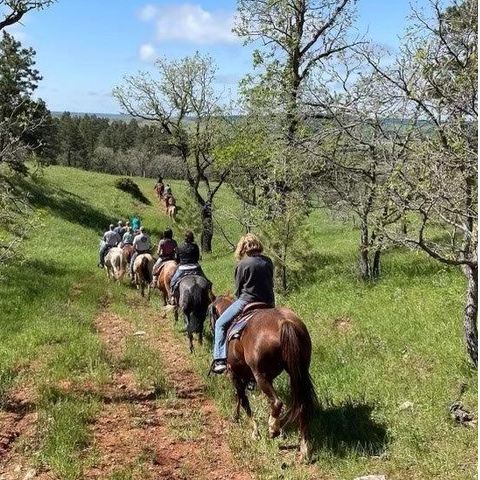 Seven J Outfitters Trail Rides