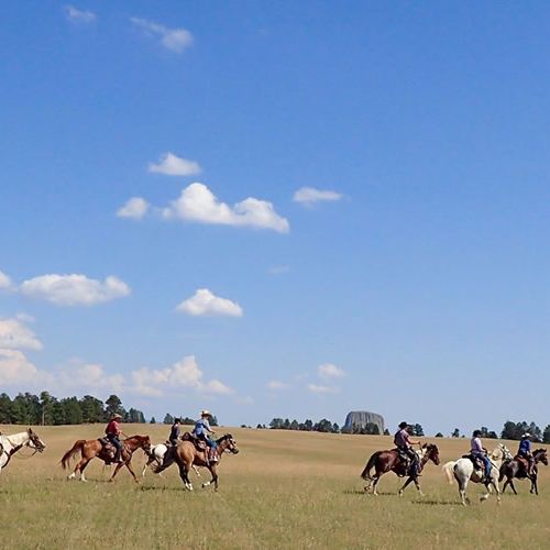 New Haven Guest Ranch